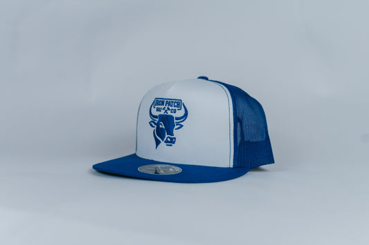 Blue Bulls