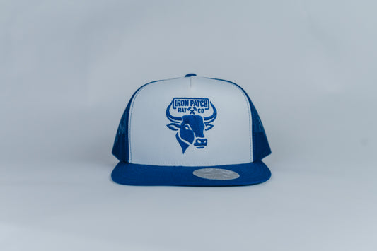 Blue Bulls